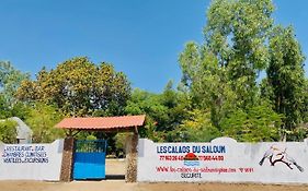 Les Calaos du Saloum